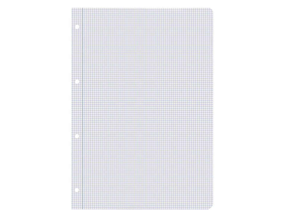RECAMBIO LIDERPAPEL A4 100 HOJAS 60GR CUADRO 3 MM CON MARGEN 4 TALADROS