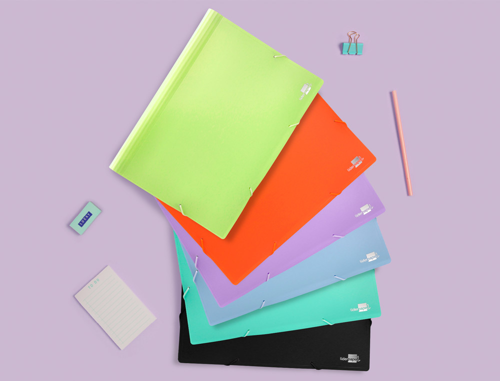 CARPETA LIDERPAPEL CLASIFICADOR FUELLE POLIPROPILENO DIN A4 CELESTE OPACO 13 DEPARTAMENTOS