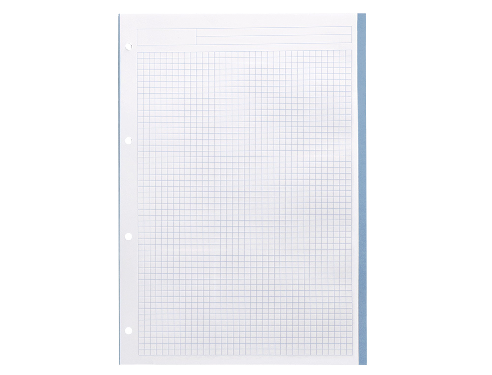 RECAMBIO LIDERPAPEL A4 200+50 HOJAS 90GR CUADRO 5MM 4 TALADROS BANDAS DE 5 COLORES