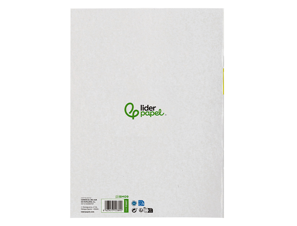 BLOC MUSICA Y CANTO LIDERPAPEL PENTAGRAMA INTERLINEADO 2 MM CUADRICULA 5MM DIN A4 24 HOJAS 100G/M2