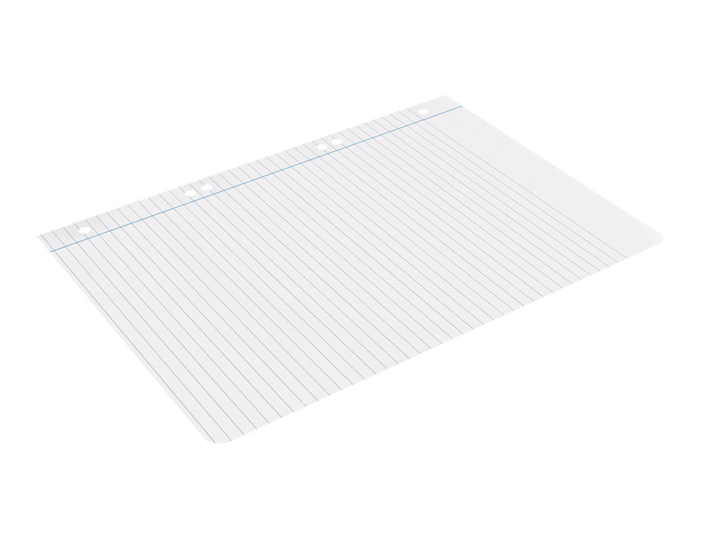 RECAMBIO LIDERPAPEL CUARTO 100 HOJAS 60GR HORIZONTAL CON MARGEN 6 TALADROS