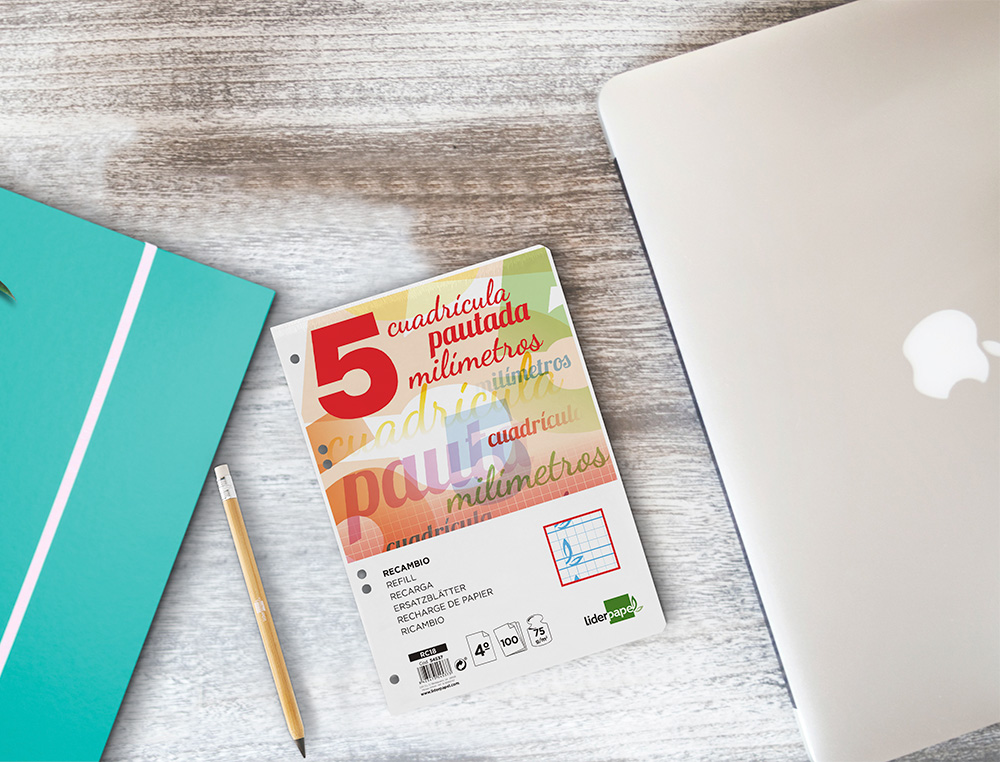 RECAMBIO LIDERPAPEL CUARTO PAUTAGUIA 100 HOJAS 75 G CUADRICULADO PAUTADO 5 MM CON MARGEN 6 TALADROS
