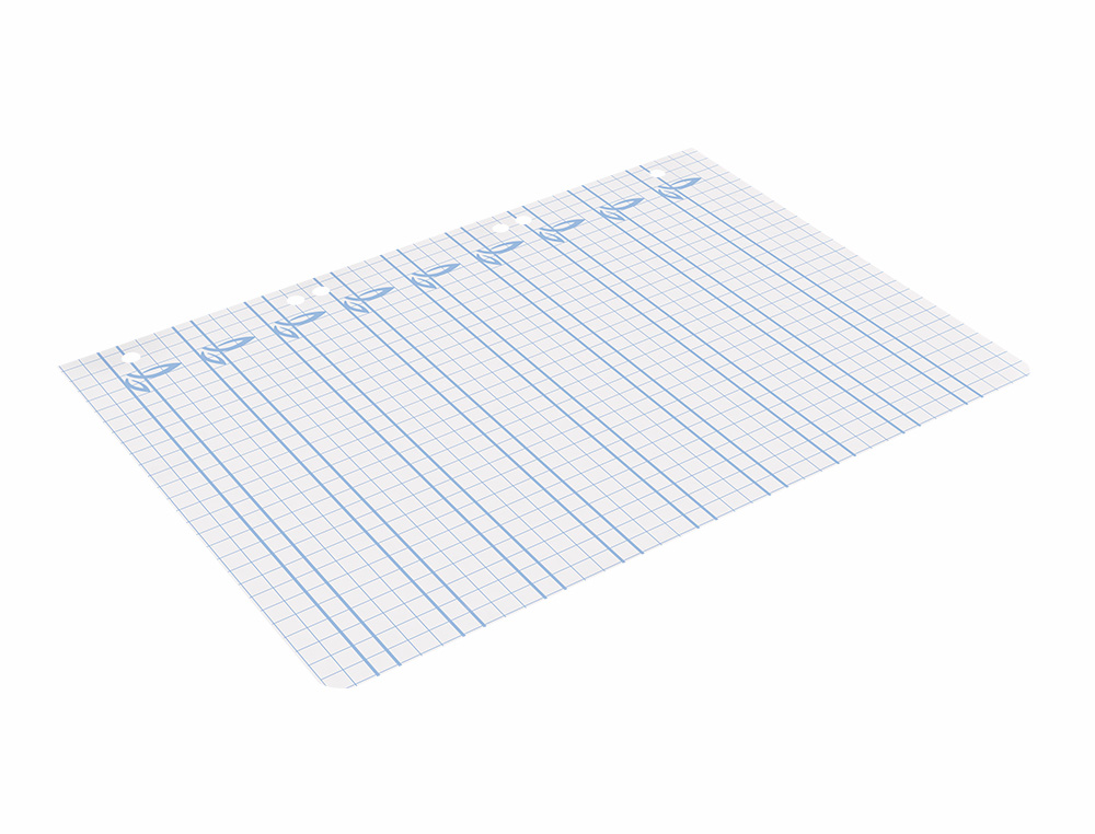 RECAMBIO LIDERPAPEL CUARTO PAUTAGUIA 100 HOJAS 75 G CUADRICULADO PAUTADO 5 MM CON MARGEN 6 TALADROS