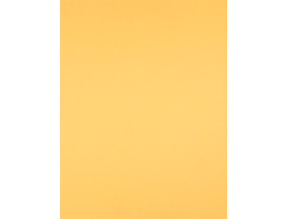 CARTULINA LIDERPAPEL 50X65 CM 240G/M2 ORO PAQUETE DE 25 HOJAS