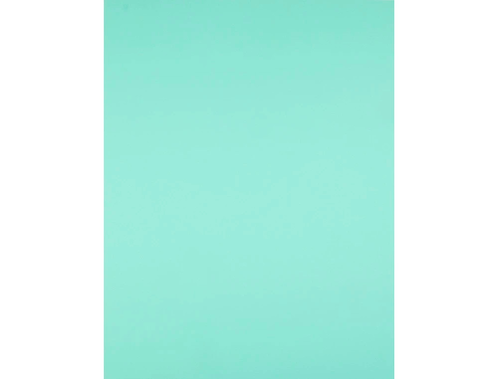 CARTULINA LIDERPAPEL 50X65 CM 240G/M2 VERDE PAQUETE DE 25 HOJAS