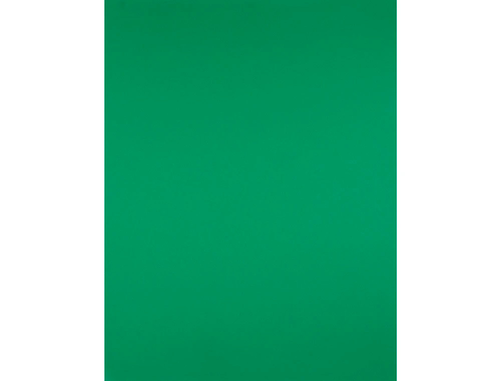 CARTULINA LIDERPAPEL 50X65 CM 240G/M2 VERDE NAVIDAD PAQUETE DE 25 HOJAS